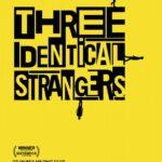 Три Одинаковых Незнакомца Постер